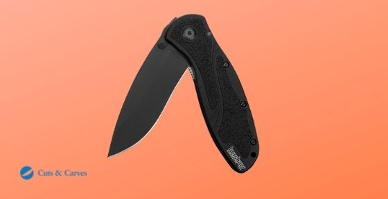 Kershaw Blur Everyday Carry Pocket Knife