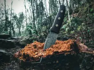 What Are the Benefits of a Damascus Steel Knife (Are There Any)